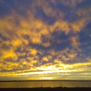 Meet your Posher, Frank